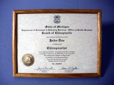 State of Michigan  Wall Certificates