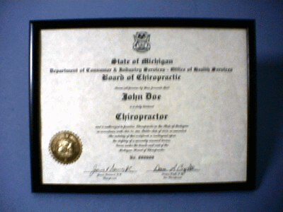 State of Michigan Wall Certificates